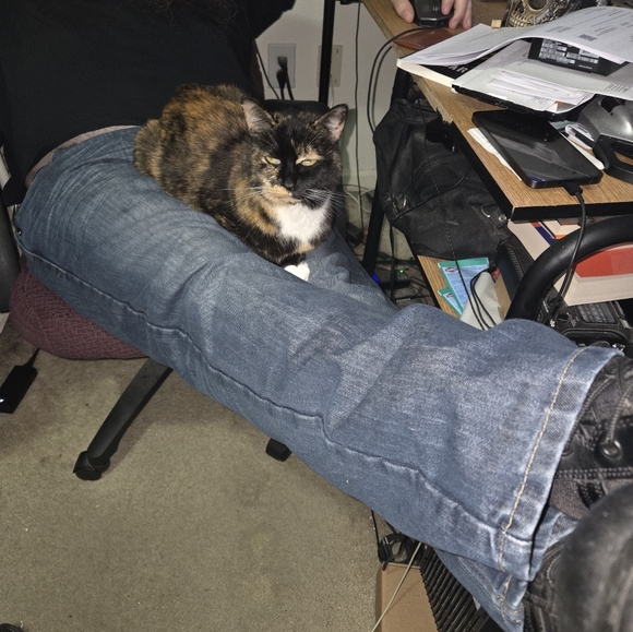 Meet your Posh Ambassador, C - Picture 14 of 16